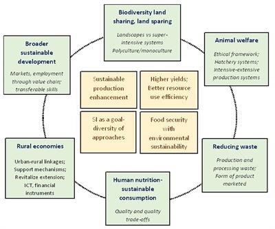 Sustainable intensification of small-scale mariculture systems: Farm-level insights from the coastal regions of India